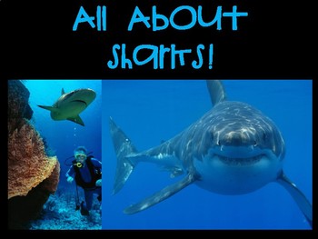 Preview of All About Sharks PPT