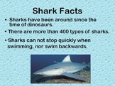 All About Sharks Powerpoint