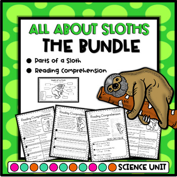 Preview of All About Sloth Facts - Reading Comprehension and Parts of a Sloth