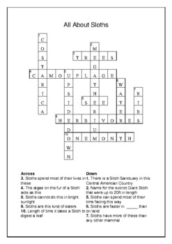 All About Sloths Crossword Puzzle and Word Search Bell Ringer TPT