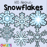 All About Snowflakes