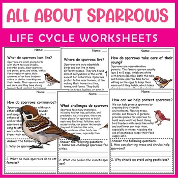 Preview of All About Sparrow| Sparrow life cycle | Science Reading Comprehensions