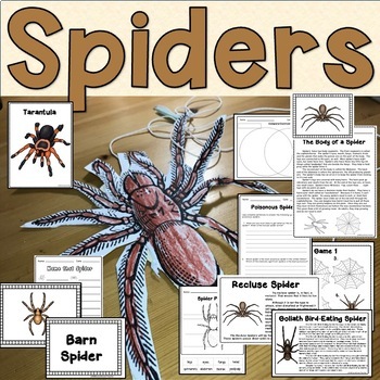Preview of All About Spiders | Activities and Craft
