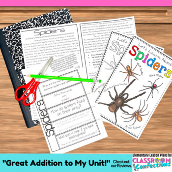 Preview of All About Spiders : Fall Non-Fiction Activity Interactive Notebook 4th Grade