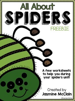 Preview of All About Spiders Worksheets