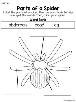 All About Spiders Worksheets by Jasmine McClain | TPT