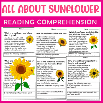 Preview of All About Sunflower | Sunflower Life Cycle | Science Reading Comprehensions