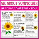All About Sunflower | Sunflower Life Cycle | Science Readi