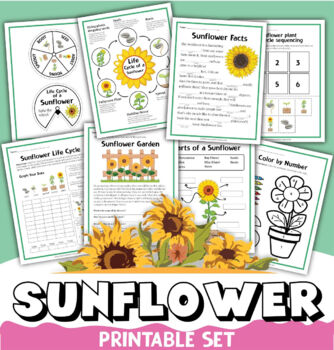Preview of All About Sunflowers Life Cycle Coloring Pages Worksheets Activities