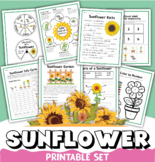 All About Sunflowers Life Cycle Coloring Pages Worksheets 