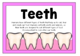 All About Teeth Information Poster Set/Anchor Charts