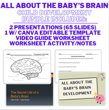 Preview of All About The Baby's Brain Bundle - Child Development