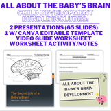All About The Baby's Brain Bundle - Child Development