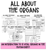 All About The Organs- Introductory Worksheet Packet