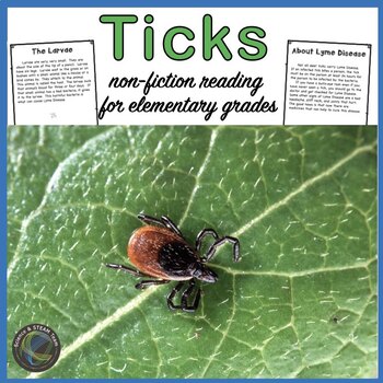 Preview of All About Ticks Nonfiction Texts