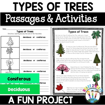 types of coniferous trees