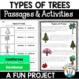 All About Trees Deciduous Coniferous Activities Flipbook L
