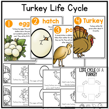 All About Turkeys: Nonfiction Turkeys Unit and the Turkey Life Cycle
