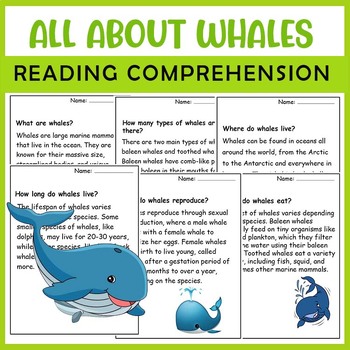 Preview of All About Whale| Whale life cycle | Science Reading Comprehensions