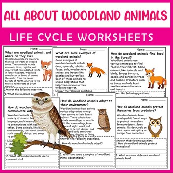 Preview of All About Woodland animals | Science Reading Comprehensions