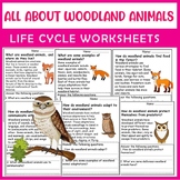 All About Woodland animals | Science Reading Comprehensions