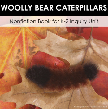 Preview of All About: Woolly Bear Caterpillars | Kindergarten Nonfiction Book