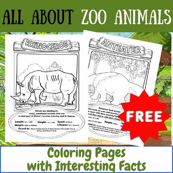 Preview of All About Zoo Animals, Coloring Pages with Interesting Facts | Freebie