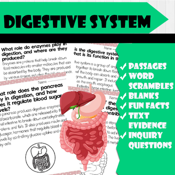 Preview of All About digestive system | Science Reading Comprehensions, and Worksheets