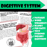 All About digestive system | Science Reading Comprehension