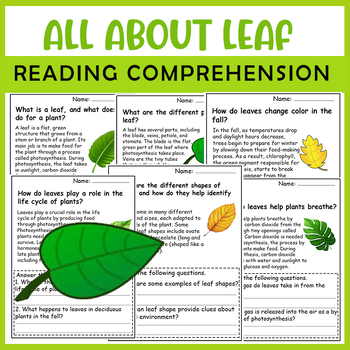 Preview of All About Leaf| Leaf Life Cycle | Science Reading Comprehensions
