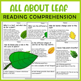 All About Leaf| Leaf Life Cycle | Science Reading Comprehensions