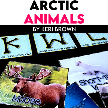Preview of Arctic Animals Winter Activities Animal Research