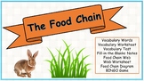 All About the Food Chain