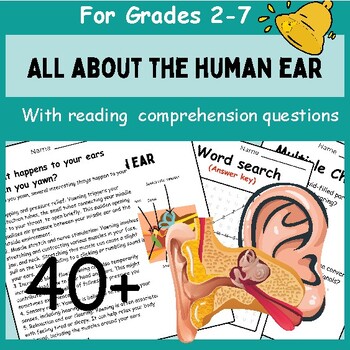Preview of All About the Human Ear | Reading passages | Diagrams | Activities