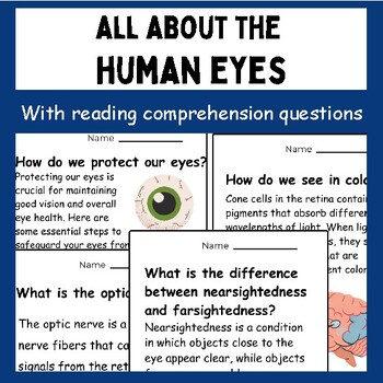 Preview of All About the Human Eye | Reading comprehension | Diagram