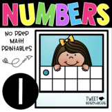All About the NUMBER ONE ~ NO PREP Number Sense Kindergart