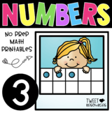 All About the NUMBER THREE ~ NO PREP Number Sense Kinderga