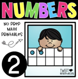 All About the NUMBER TWO ~ NO PREP Number Sense Kindergart