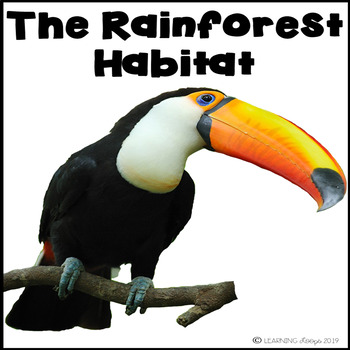 Preview of The Rain Forest Habitat