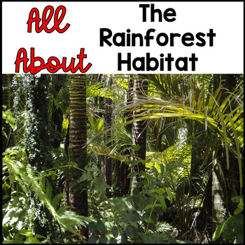 Preview of All About the Rain Forest Habitat