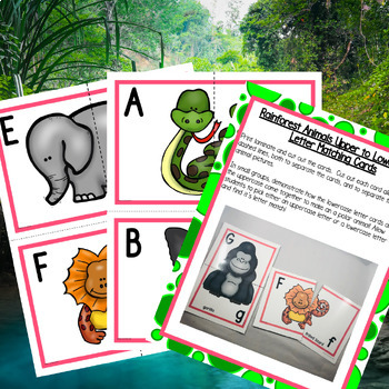 All About the Rainforest 5-Day Lesson Plan for Preschool, PreK, K