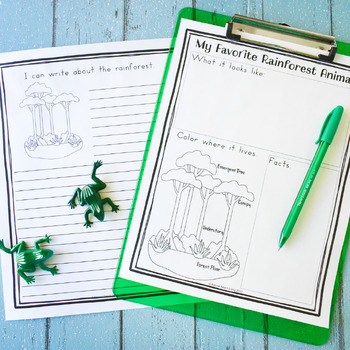 Rainforest Bundle - Lesson Plans and Activities by Hands on Learning ...