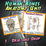 All Digital - Human Bones Unit - No Downloads, No Printing
