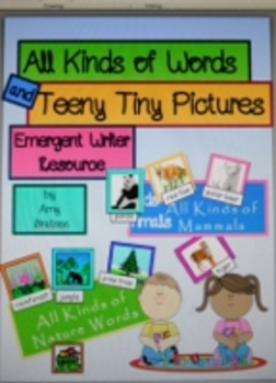 Preview of Beginning Dictionary Themed Vocabulary Words with Pictures