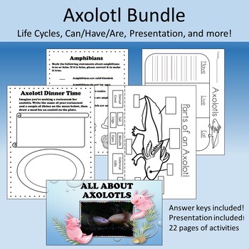 Preview of All My Axolotl Resources- Anatomy, Presentation, Can/Have/Are, and more!