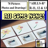 All Some None! Identify in Pictures Autism ABA DTT ABLLS-R R11 R12 R13
