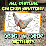 All Virtual Chicken Dissection Anatomy Drag and Drop Stude