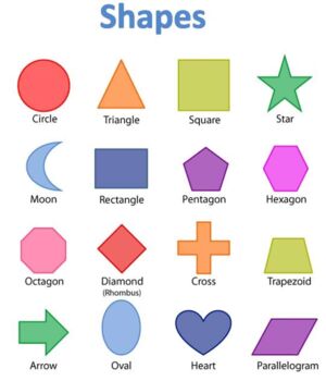 Preview of All about 2d shapes