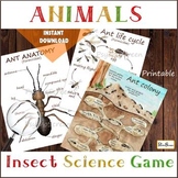 All about ANTS • Ant anatomy, life cycle, posters and materials