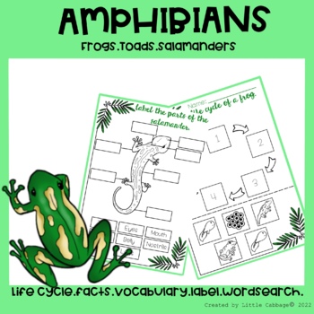 Preview of All about Amphibians!! Frogs, Toads and Salamanders!